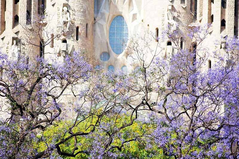 Primavera em Barcelona